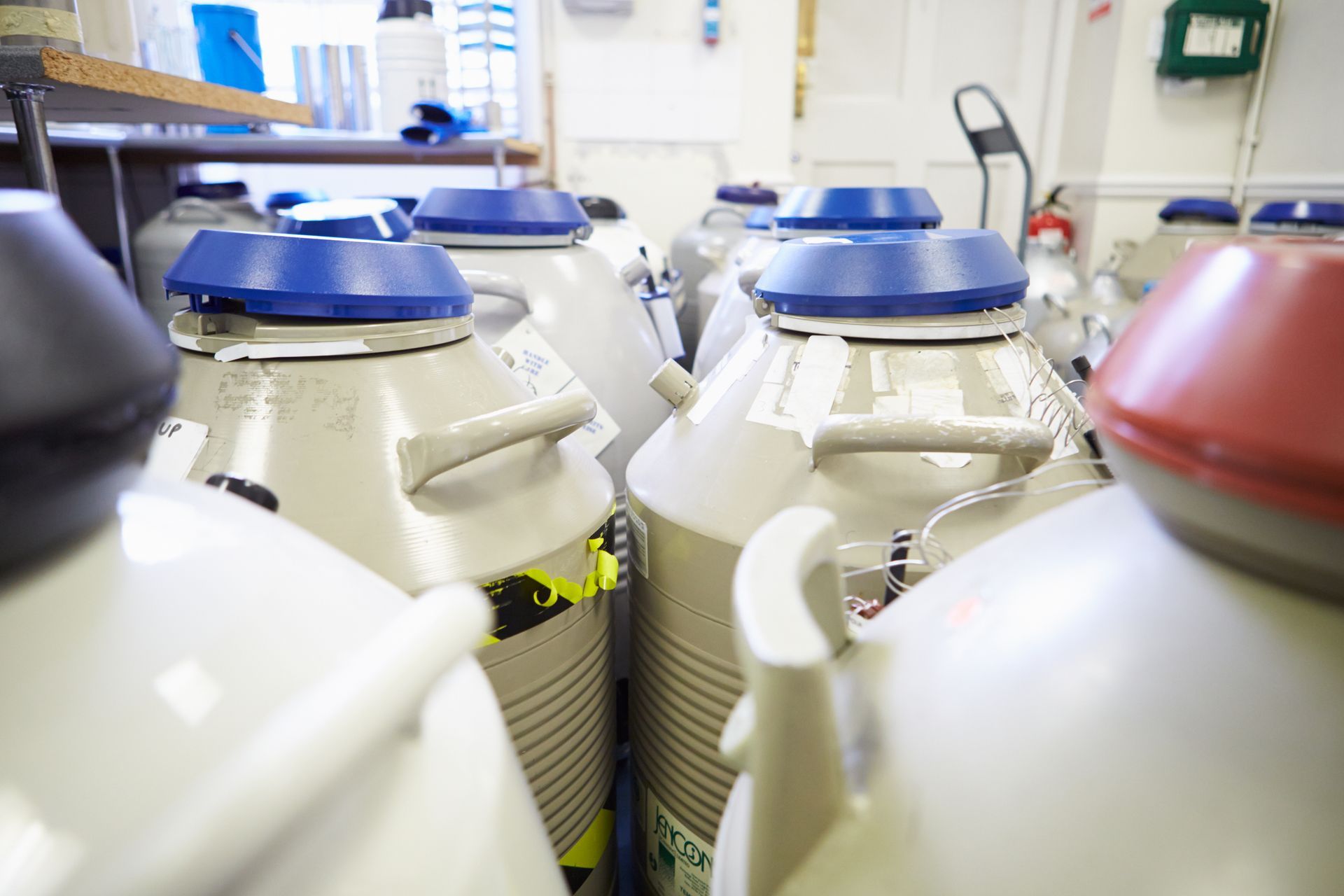 White liquid nitrogen dewars with blue and red lids in a lab setting.