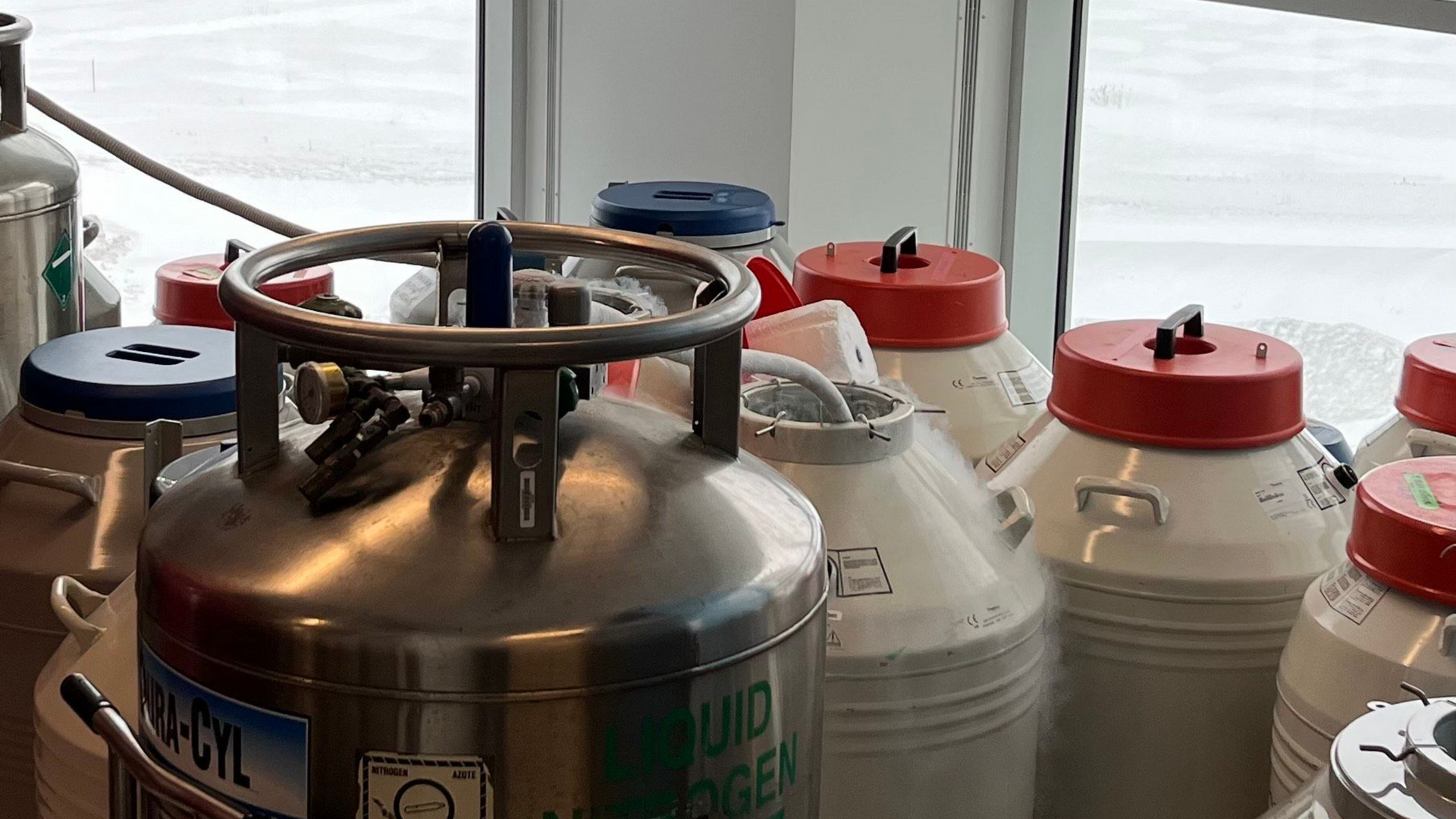 Réservoirs cryogéniques en métal, certains avec couvercles rouges et bleus, près d'une fenêtre.