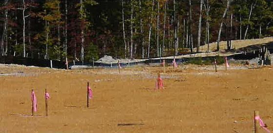 Flag Marks — Richmond, VA — Engineering Design Associates
