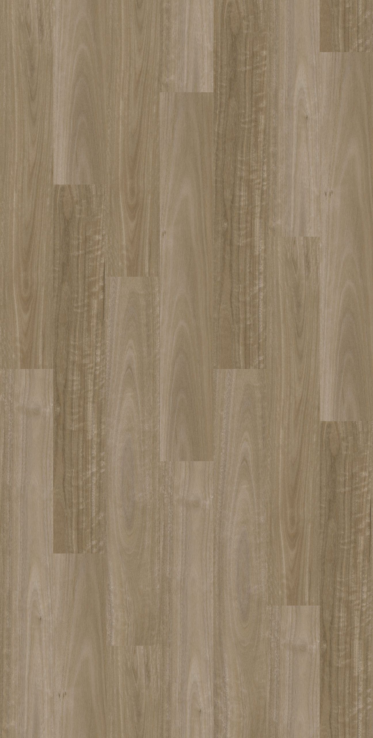 Franklin Valley Ironbark