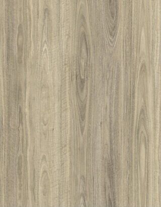 New England Spotted Gum