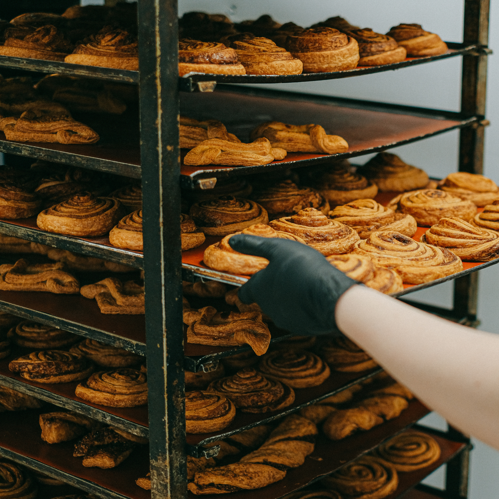 A person wearing black gloves is reaching for a tray of cinnamon rolls.