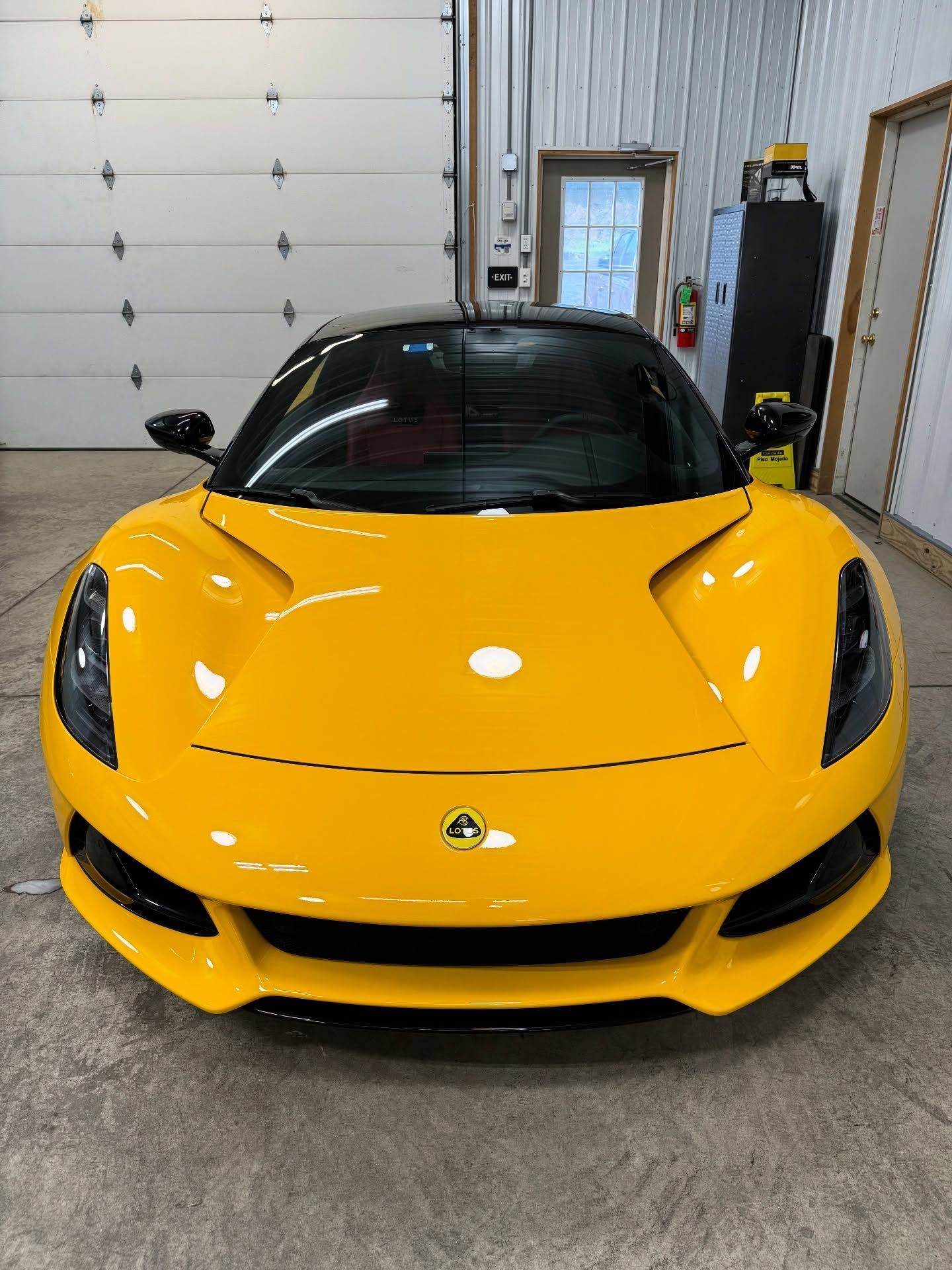 car bumper protection film