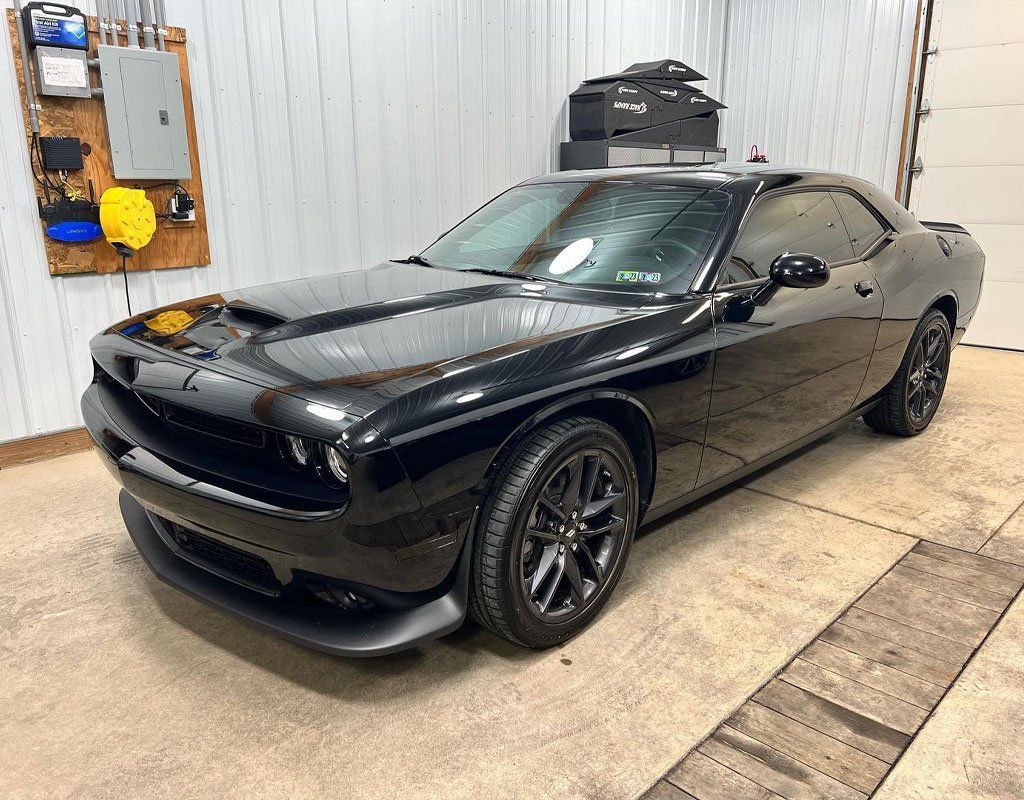 paint protection film