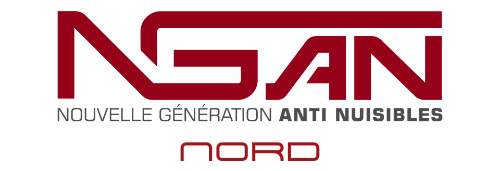 logo de l'entreprise ngan