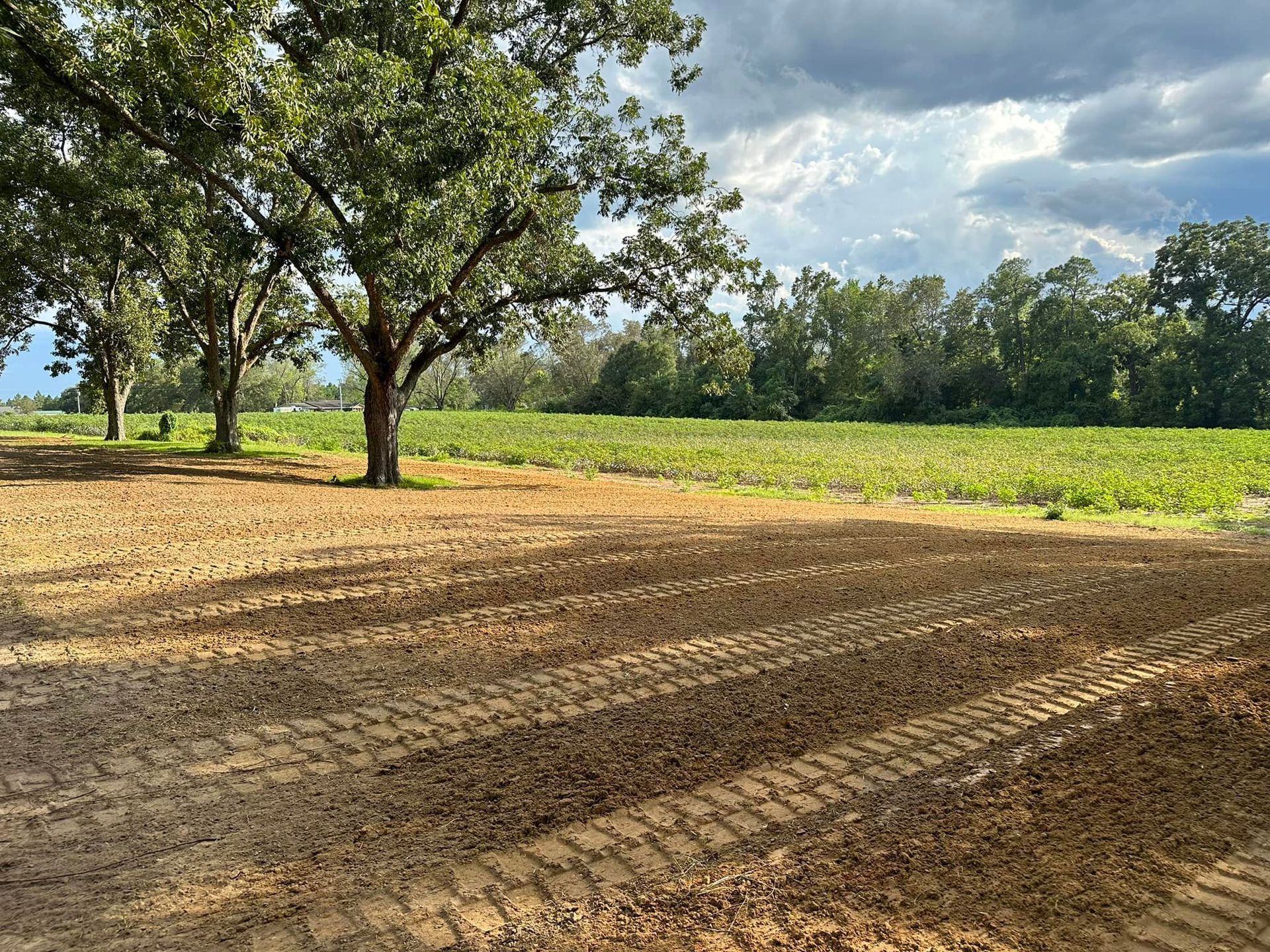 Land Transformations