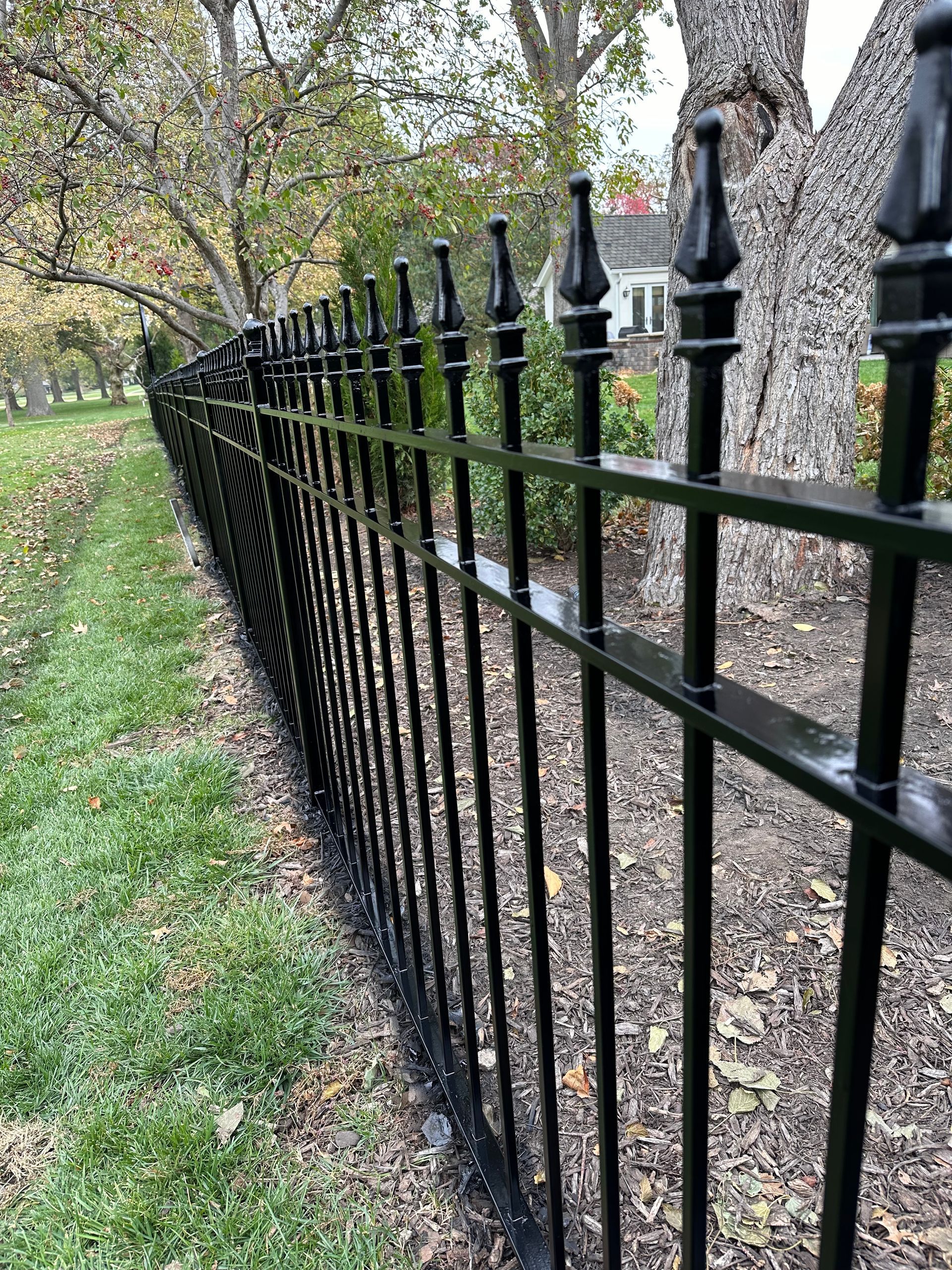 Black metal fence along green grass, with trees in the background.