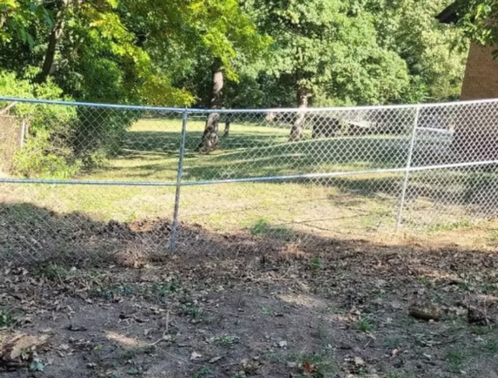 Chain-link fence in a grassy yard. Trees in background.