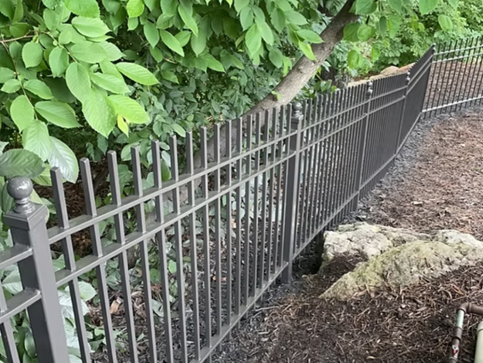 Dark gray metal fence bordering a garden with lush green foliage in the background.