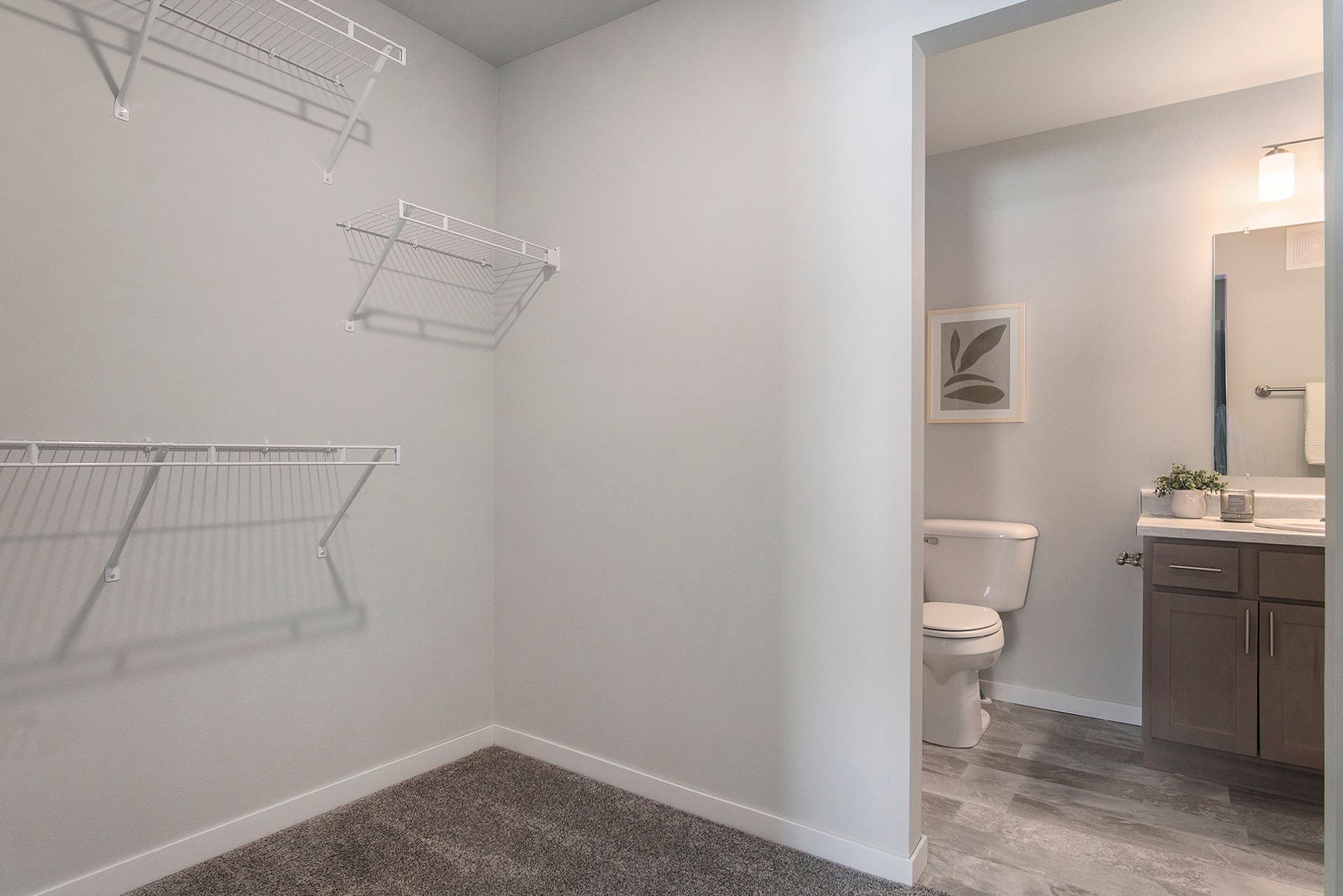 Walk-in closet with shelves.