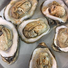 Seafood Restaurant Cary & Apex, NC