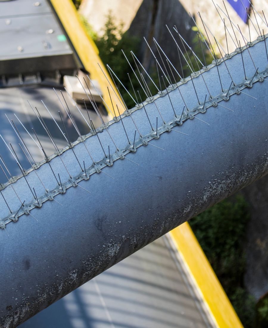 A large orange dumpster filled with wood and paper.