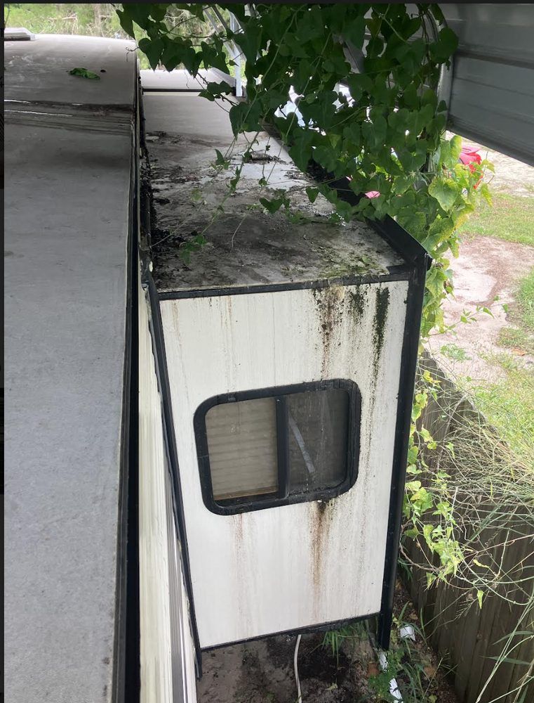 White, weathered trailer with a small window, overgrown with vines and vegetation. Located under a covered area.