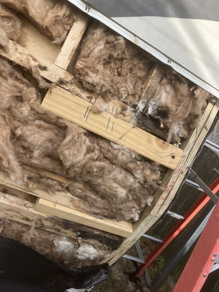 Inside a partially disassembled camper wall, revealing wooden framing, insulation, and a supporting beam.