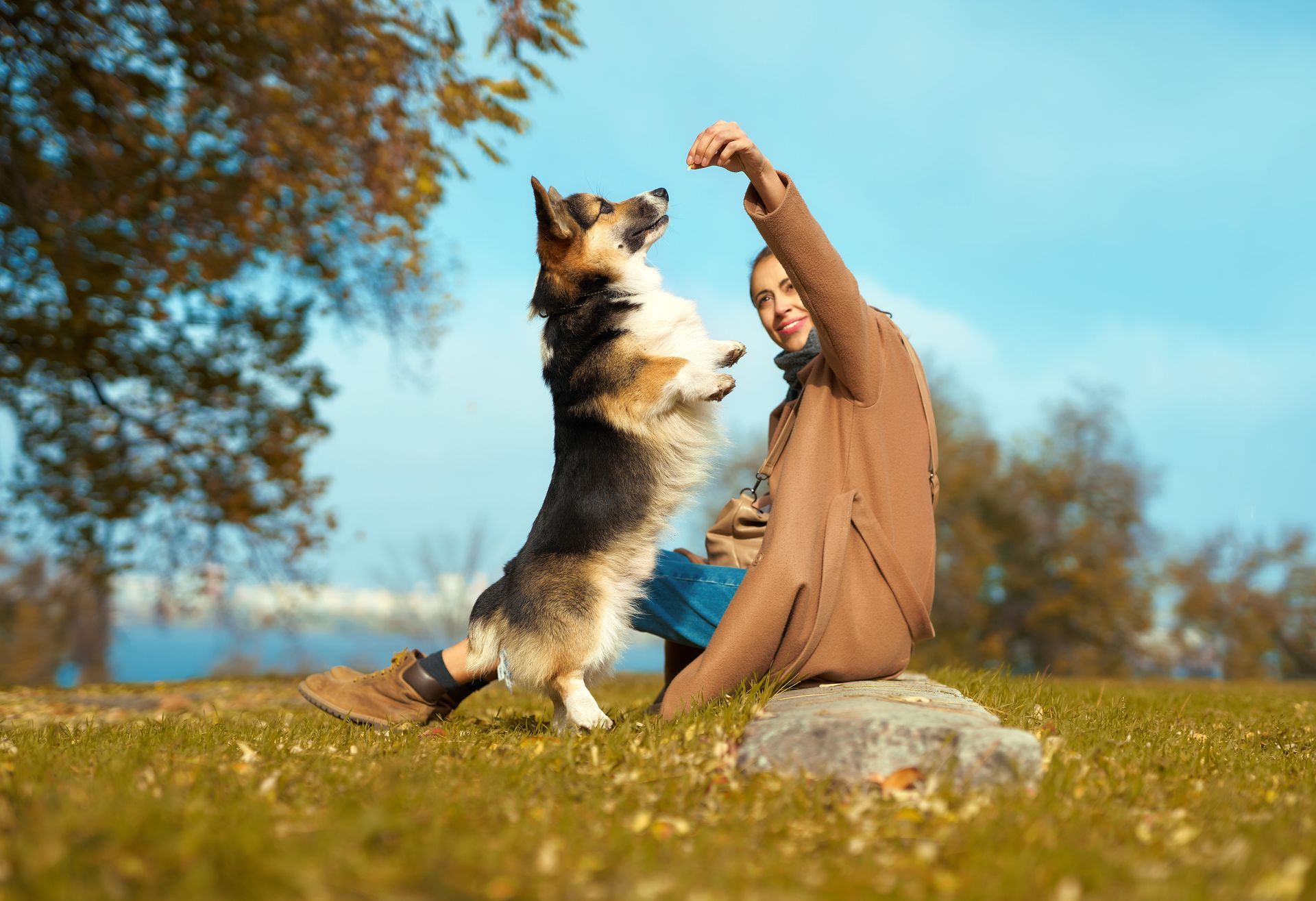 Woman giving a treat to a dog that's standing on its hind legs in a grassy field with a blue sky.