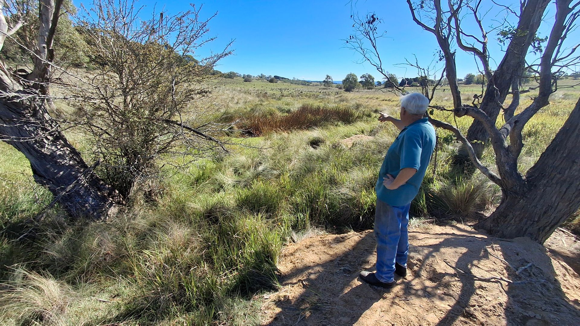 A man is standing in a field looking at a tree.