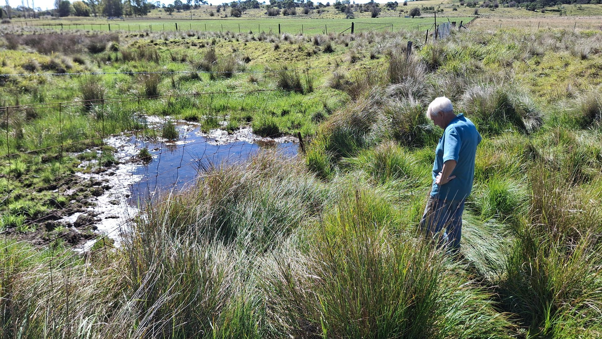 A man in a blue shirt is standing in a field next to a small pond.