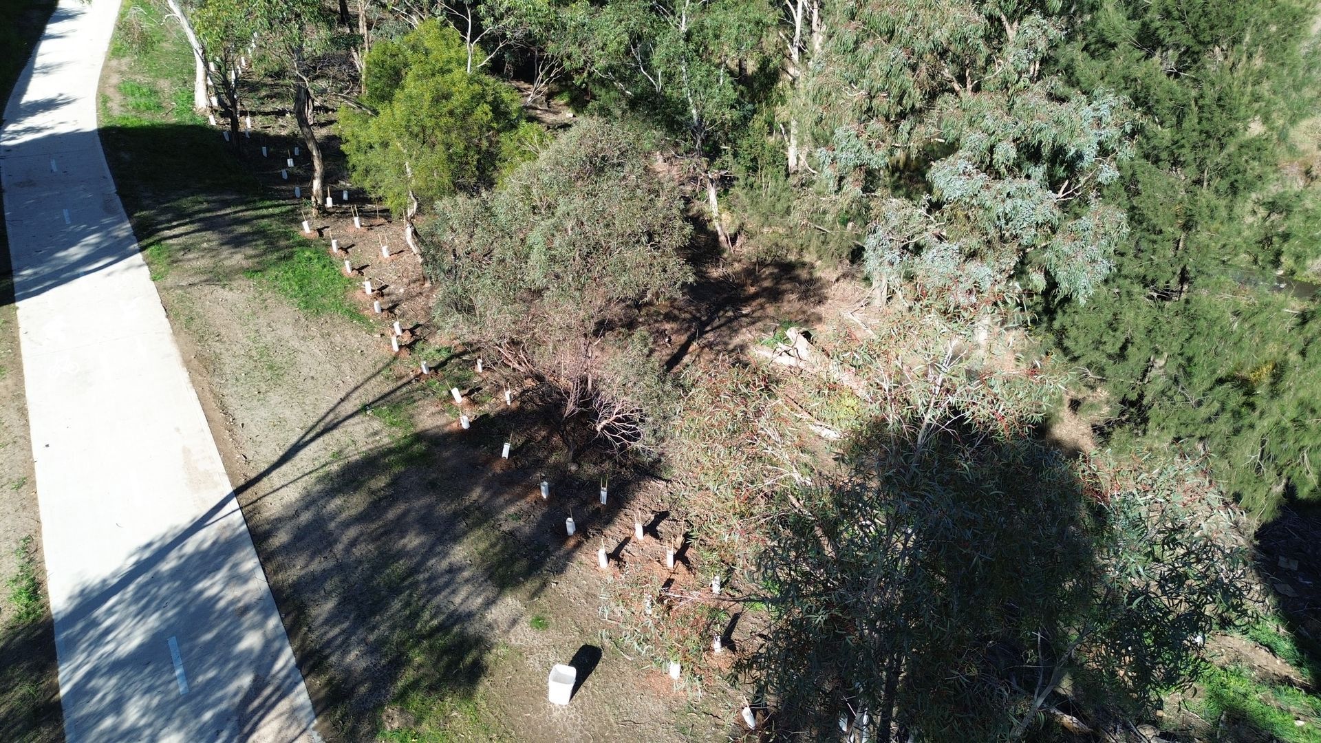 Friends of Mulwaree Ponds