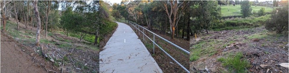 An access pathway through bushland
