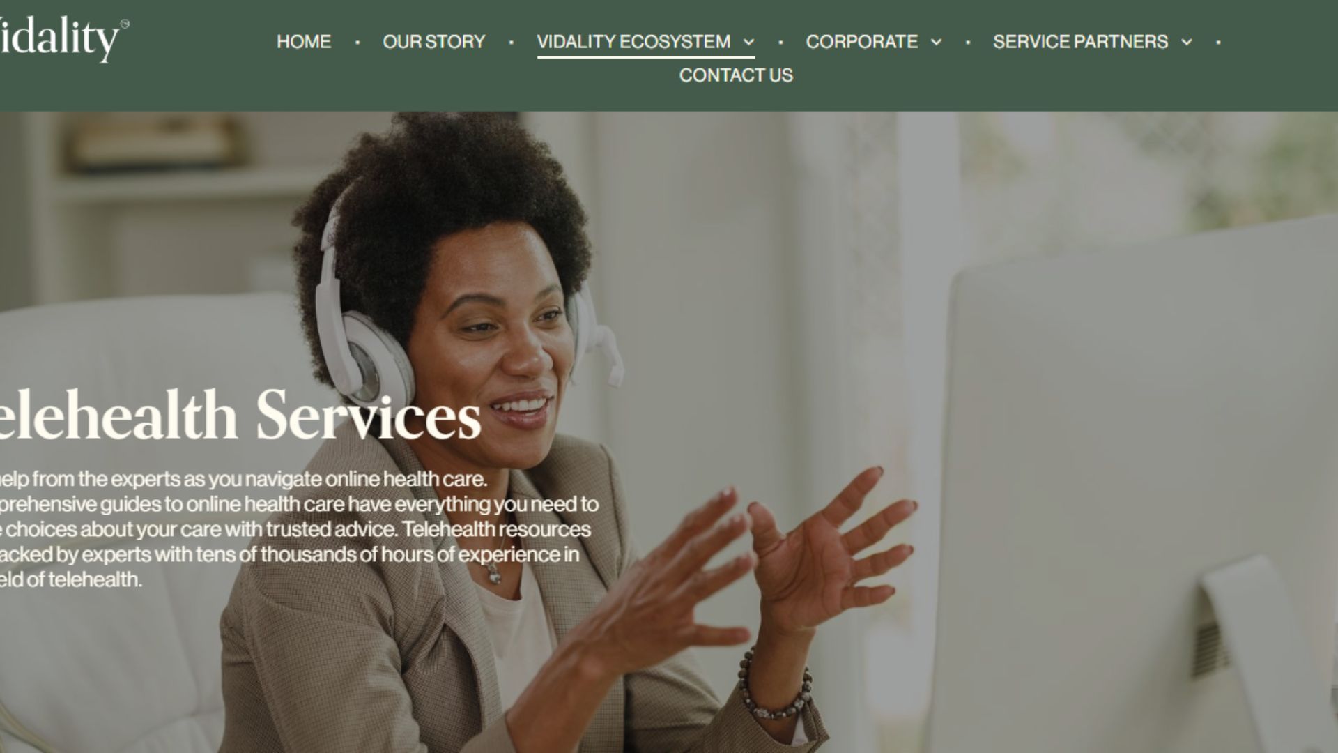 Telehealth services logo with a stethoscope and a computer screen displaying a video call between a doctor and a patient.
