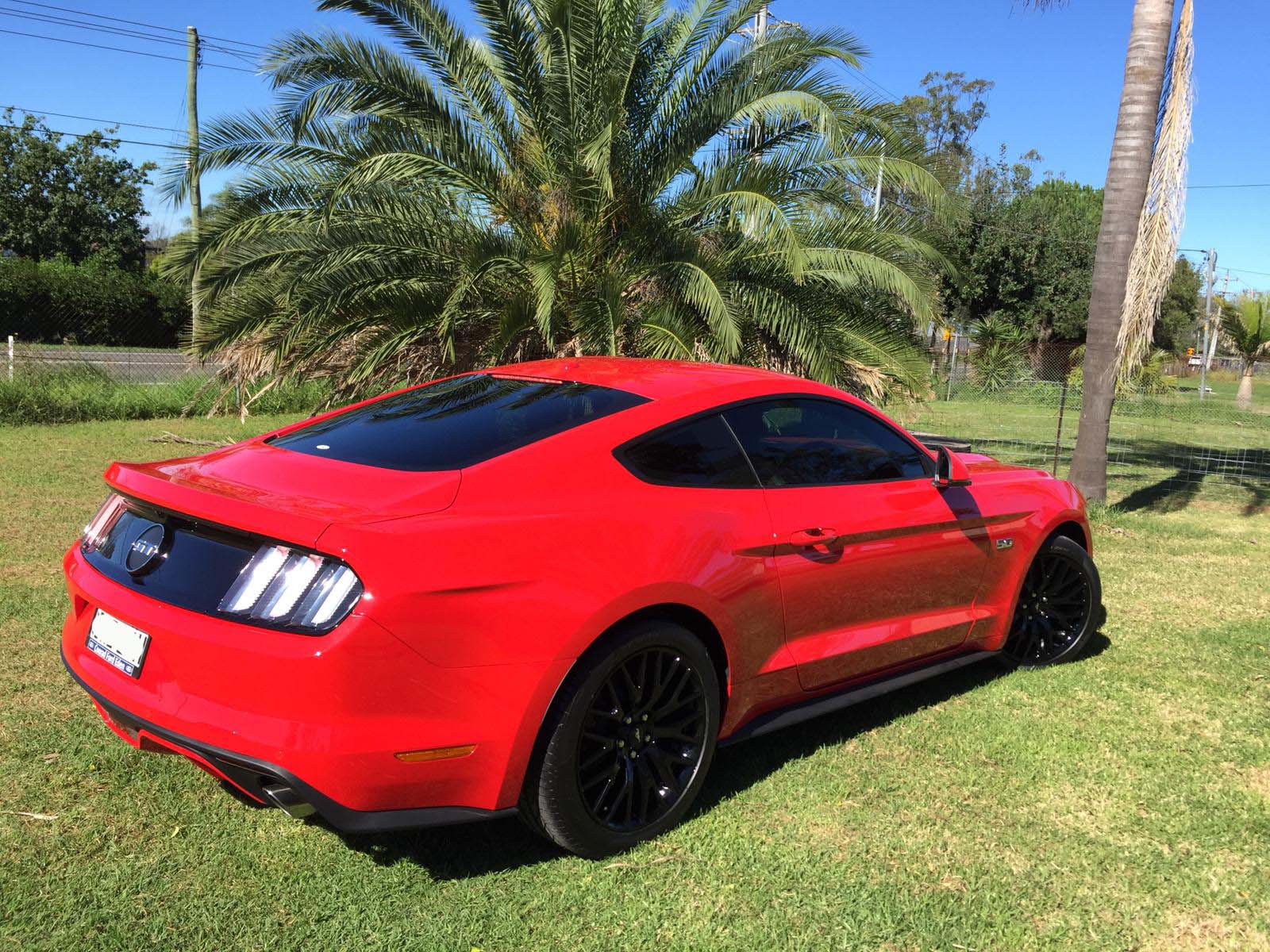 Ceramic tint a red Mustang sports car rear view