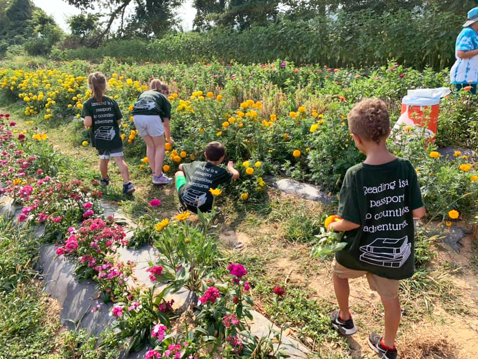 Graceway Children Academy - Young Children Picking Flowers