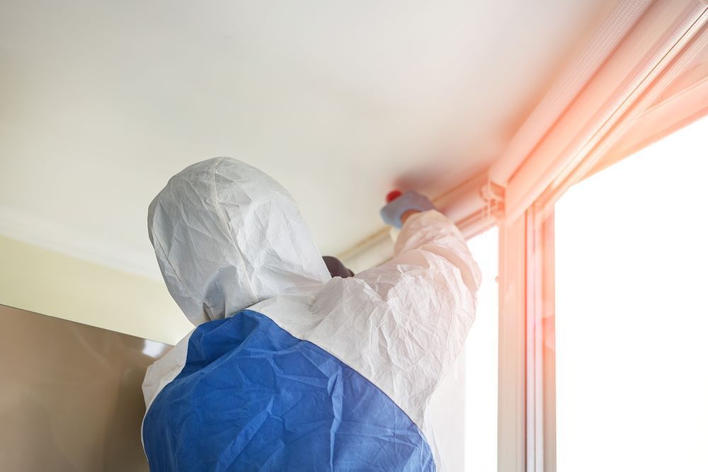 A Man is Cleaning the Ceiling of a Room — Vent Wise in Canberra, ACT
