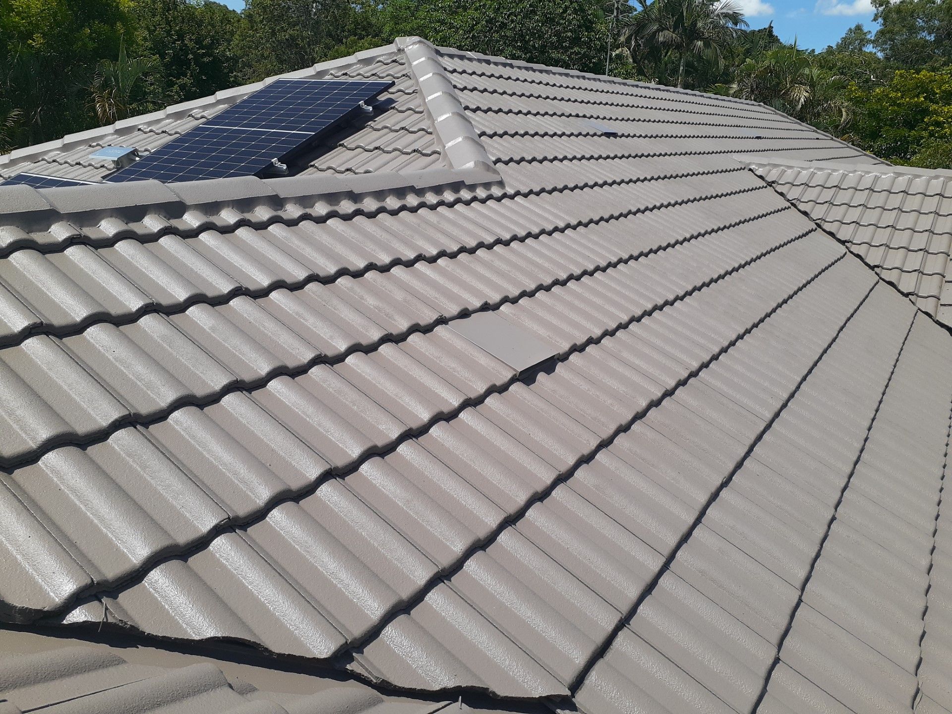 Gray tiled rooftop with a solar panel, trees in background.— Vent Wise in Twin Waters, QLD