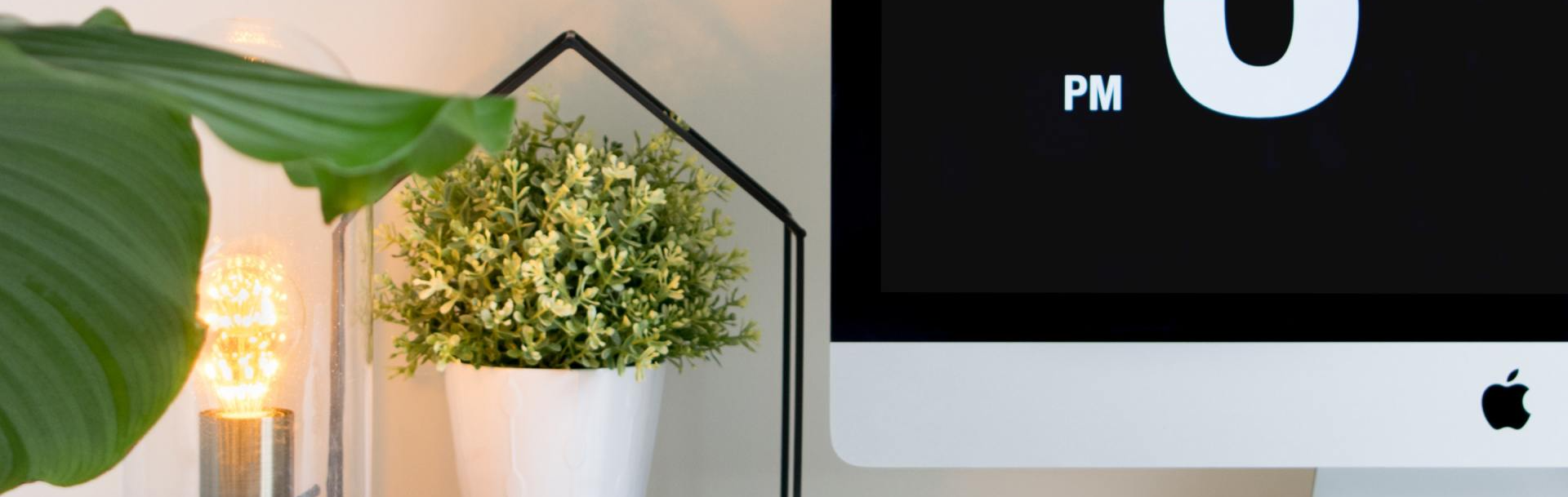 Desk With Plants