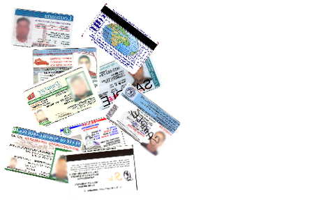 International Drivers Licenses