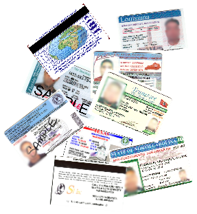 International Drivers Licenses