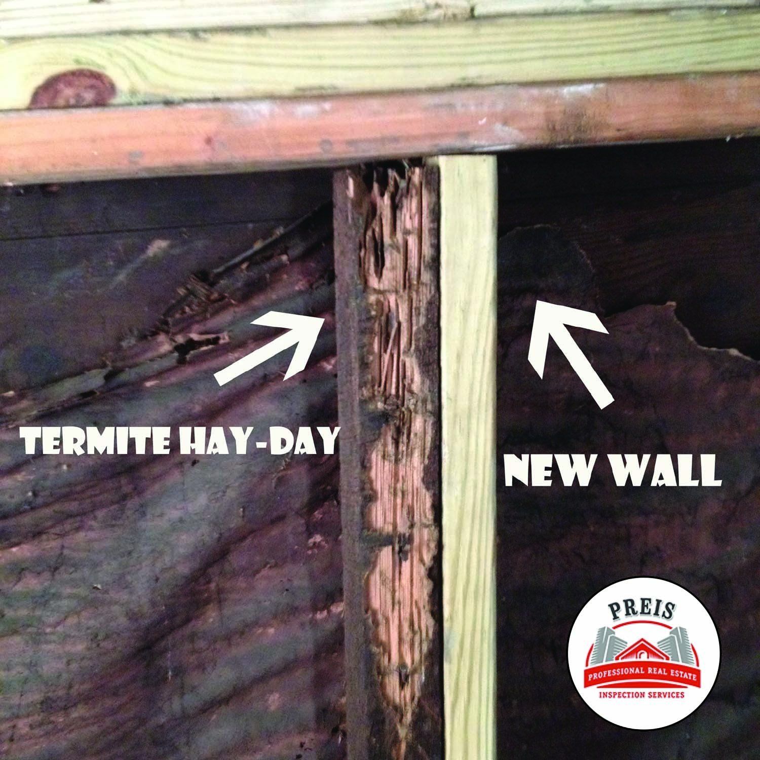 Wall Inspection — Chattanooga, TN — PREIS Inspections