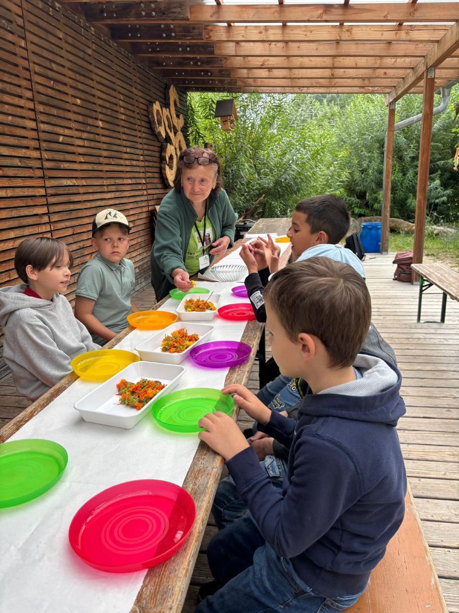 Schloss Schule Wasseralfingen SBBZ Mit F rderschwerpunkt Sprache Und 