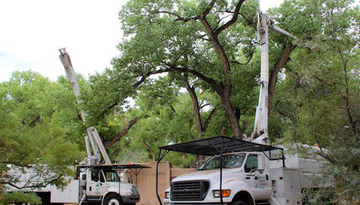 a white truck with a crane on top of it is parked next to a tree .