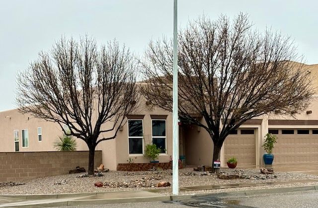 A house with two trees in front of it on a cloudy day.