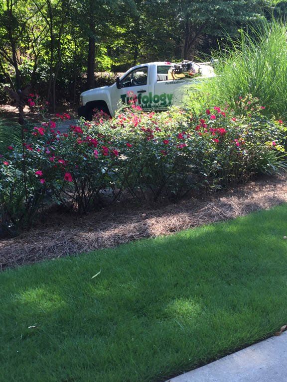A truck with the word terology on the side of it