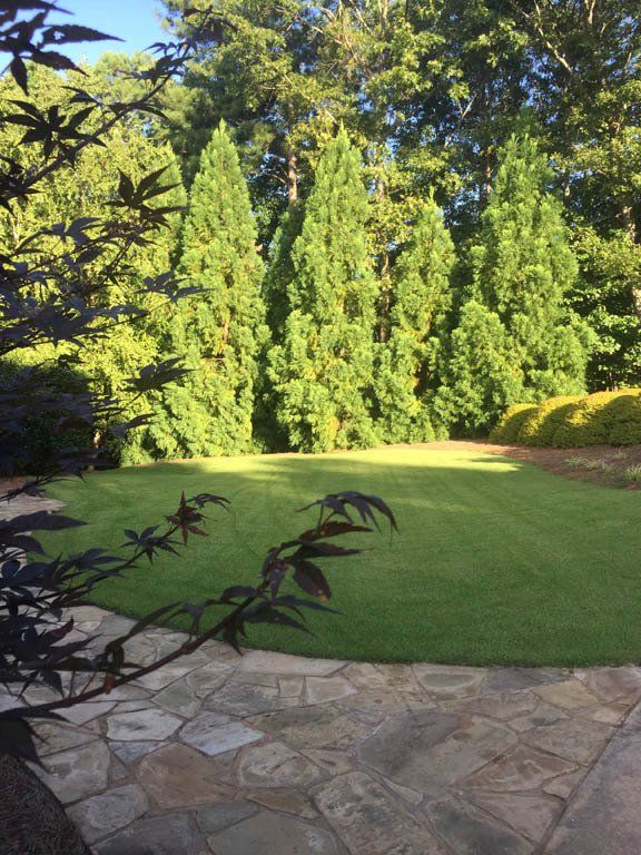 A lush green lawn with trees in the background