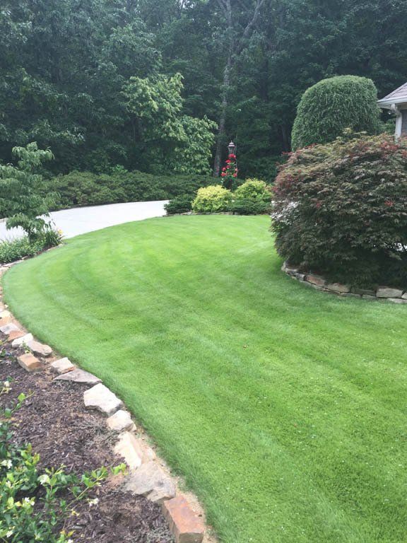 A lush green lawn with a driveway in the background and trees in the background.