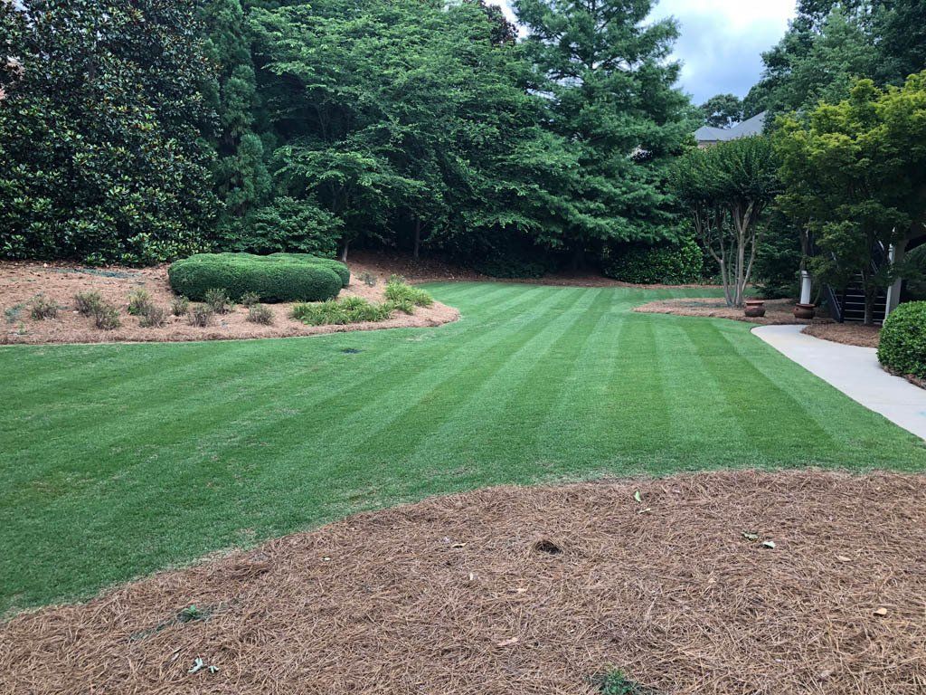 A lush green lawn is surrounded by trees and mulch.
