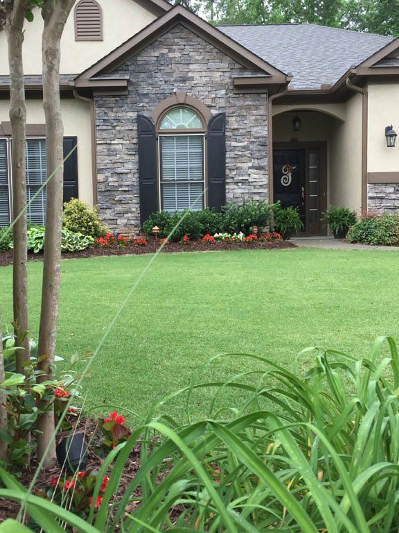 Turfology Lawn Care Service