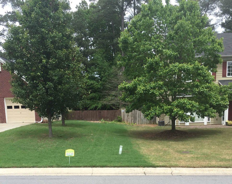 A yard with trees and a sign that says 