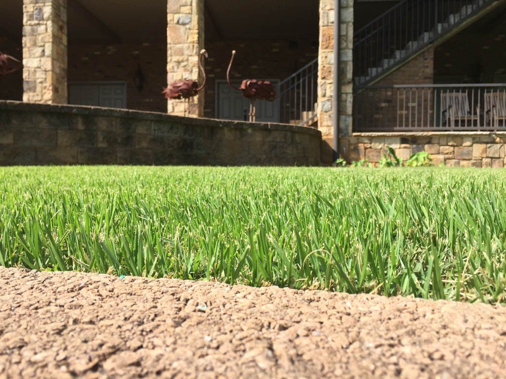 A lawn with a lot of grass and a building in the background