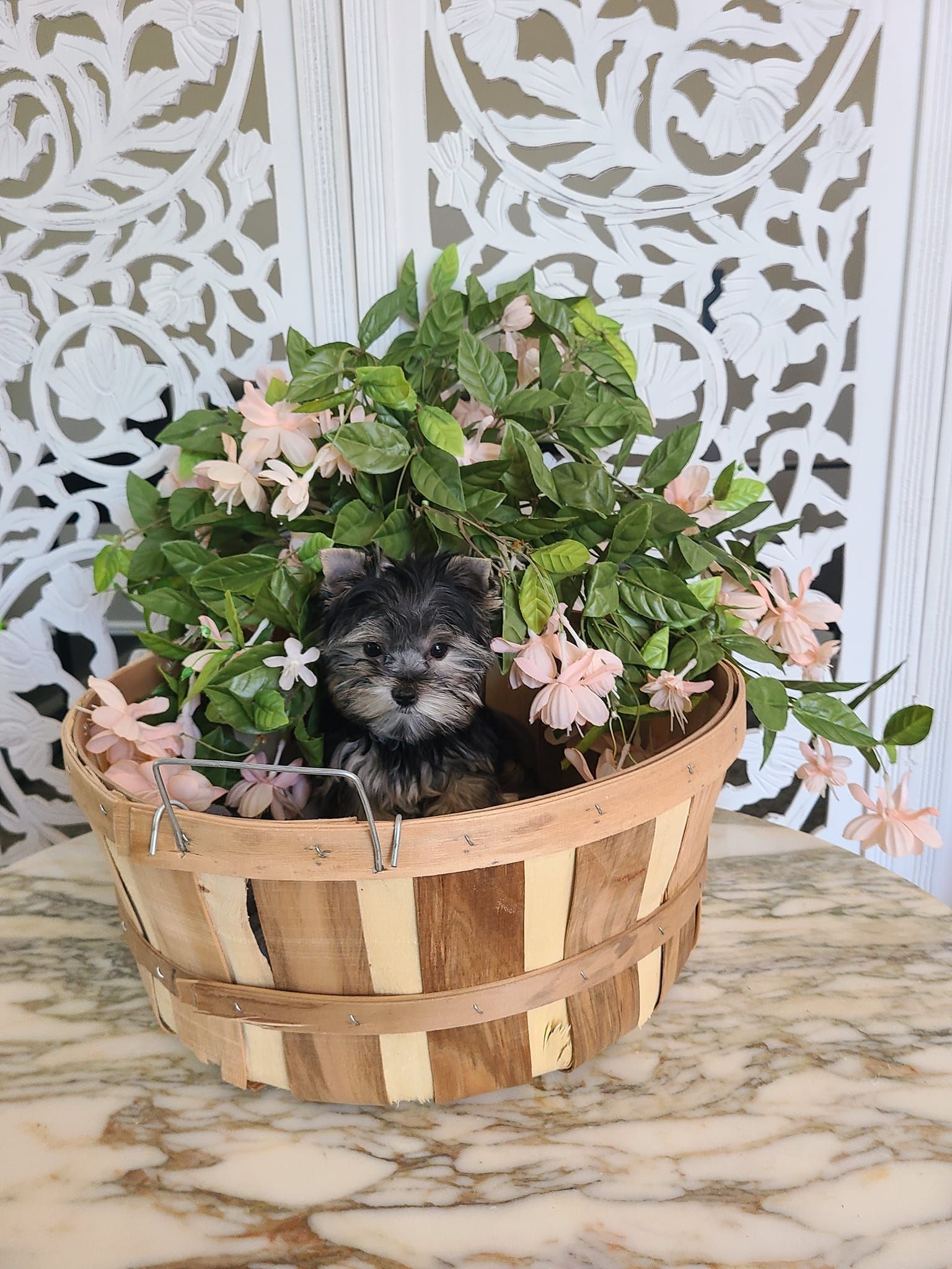 A small dog is sitting in a basket filled with flowers.