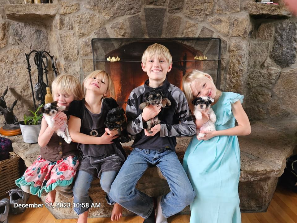 A group of children sitting in front of a fireplace holding puppies