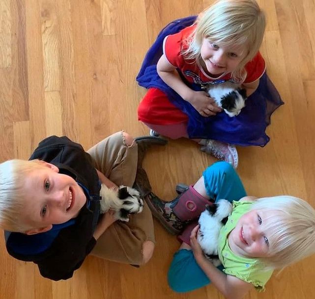 A boy and two girls are sitting on the floor holding puppies