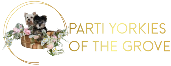 Parti Yorkies of the Grove Logo
