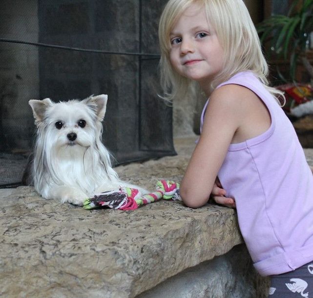 A little girl sitting next to a small white dog