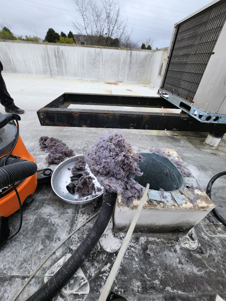 A vacuum cleaner is being used to remove dust from a roof.