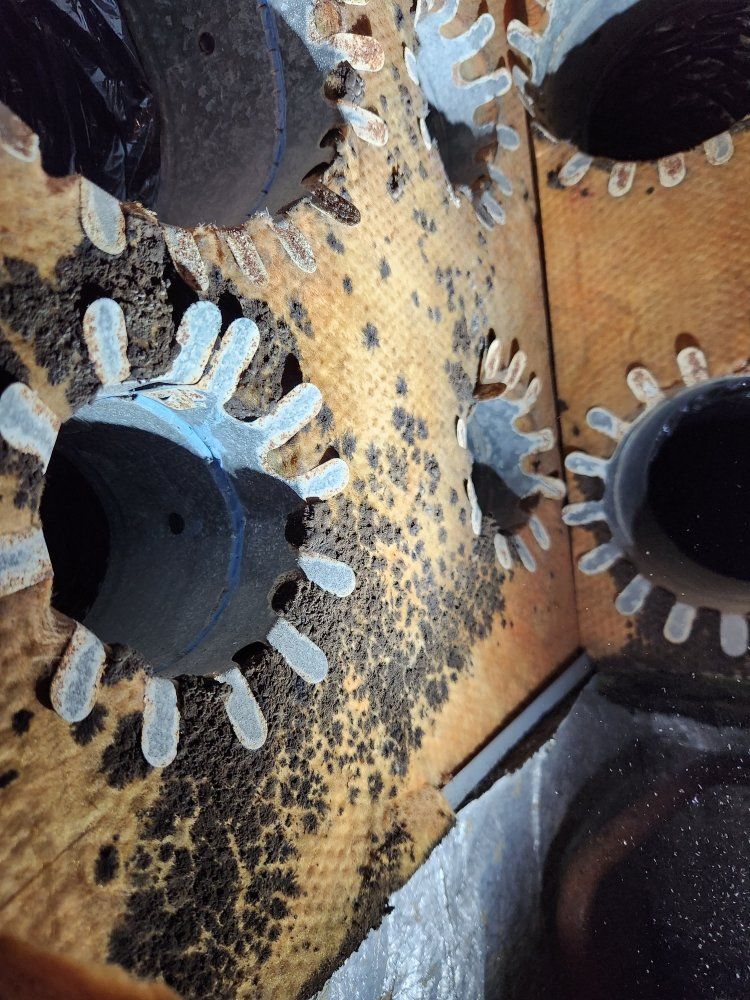 A close up of a piece of wood with holes in it