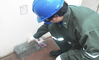 Saneamiento ambiental